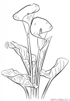 the flowers are blooming in this black and white drawing, which is very easy to draw