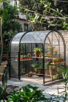 an outdoor greenhouse with plants growing inside