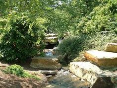 there is a small stream in the middle of some rocks and trees with water running between them