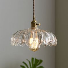 a glass light hanging from a ceiling fixture in a room with a potted plant