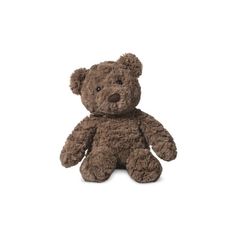 a brown teddy bear sitting up against a white background