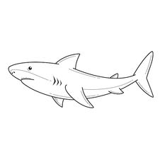 a drawing of a shark in black and white