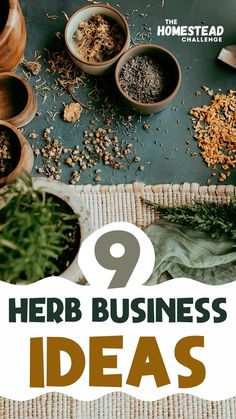 herbs and spices on a table with text overlay that reads 9 herb business ideas