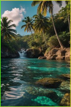 the water is crystal blue and clear with palm trees in the backgrouds