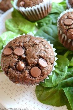 chocolate muffins on a plate with spinach leaves