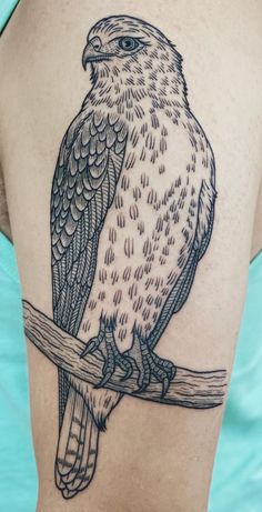 a bird sitting on top of a tree branch next to a woman's arm