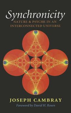 the cover of synconicity nature and psychic in an interconnected universe