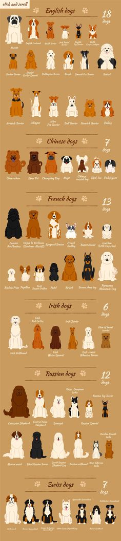 the star wars characters are depicted in this infographal poster, which shows them all different