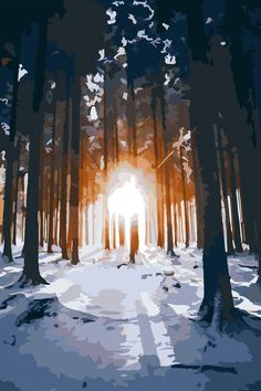 the sun is shining through the trees in the snow - covered forest with footprints on the ground