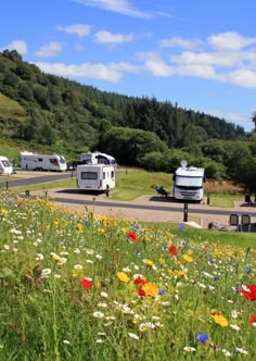 an rv park with several recreational vehicles parked in the grass and wildflowers on the ground