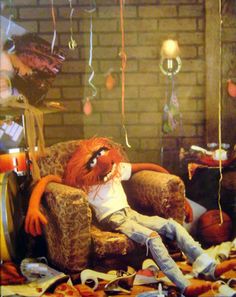 Animal no party no more. Animal need sleep. Animal Muppet, Space Ghost, Fraggle Rock, The Muppet Show, Miss Piggy, The Muppets, Kermit The Frog, I'm With The Band, Jim Henson