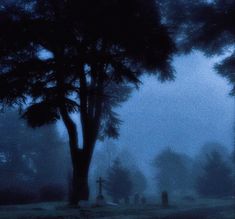 a foggy night with trees and tombstones in the foreground