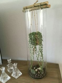 a glass vase filled with plants and rocks on top of a wooden table next to two candles