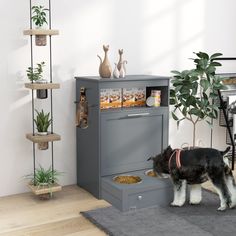 a black and white dog standing next to a gray cabinet with food in it's drawer