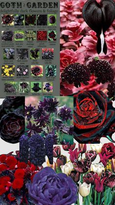 a collage of different flowers and plants with text overlay that reads, goth garden