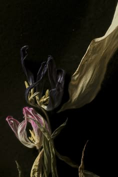 an image of dried flowers in the dark