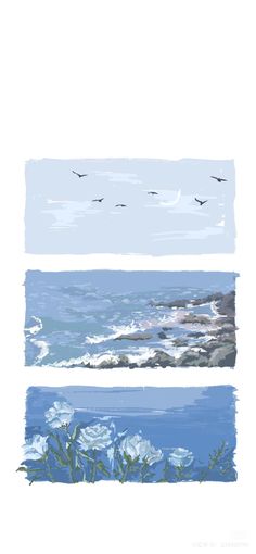 three different watercolor paintings with birds flying over the ocean