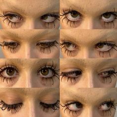 multiple pictures of eyes with long lashes and eyelashes on the upper half of each eye