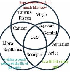 Leo Zodiac Facts, Zodiac Signs Leo, Zodiac Sign Traits, Zodiac Posts