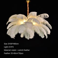 a chandelier with white feathers hanging from it