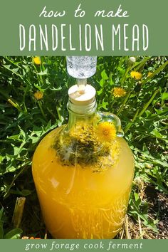 a yellow jug filled with dandelion sitting in the grass