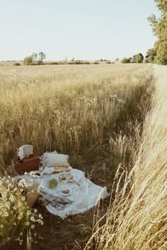 a picnic is set up in the middle of a field with tall grass and flowers