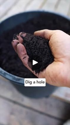 a person holding dirt in their hand with the words dig a hole on top of it