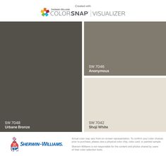 the colorsnap visualizer is shown in gray and white, with text that reads sw