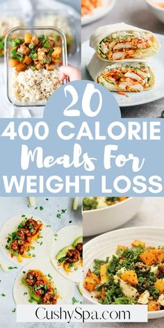 Filling Low Calorie Meals, 400 Calorie Dinner, Calorie Controlled Meals, 600 Calorie Meals, Meals Under 400 Calories, Dinners Under 500 Calories, 300 Calorie Meals, 400 Calorie Meals