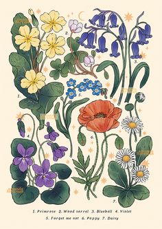 an illustration of flowers and leaves with the words, i planter's weeds & bluebells