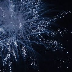 fireworks exploding in the night sky with blue and white lights on it's side