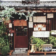 a store front with lots of potted plants on display