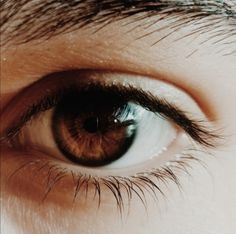 an eye with long lashes and brown eyes