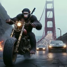 a monkey riding on the back of a motorcycle next to a car and a bridge