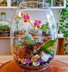 a fish bowl filled with plants and rocks on top of a wooden table next to a potted plant