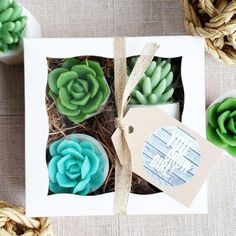 Soap Gift Box Ideas, Succulent Soap, Succulent Gift, Cactus Gifts, Soap Ideas, Cheer Up Gifts, Farmhouse Decorating, Soap Gift Set, Expecting Mom Gifts