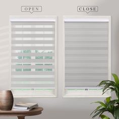 two windows with blinds open and closed in the same room, one has a potted plant