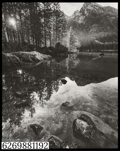 a black and white photo of water with trees in the background