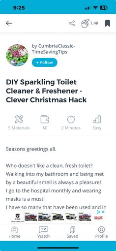 the tweet app for cleaning toilet cleaner and freshener - clever christmas hacks