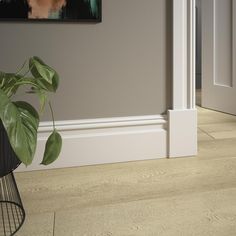 a potted plant sitting on the floor in front of a gray wall with white trim