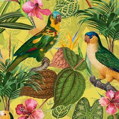 colorful tropical birds and flowers on a yellow background with green leaves, pink orchids and other plants