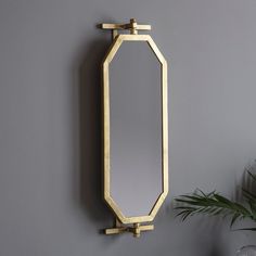 a mirror hanging on the wall next to a potted plant and vase with a green plant