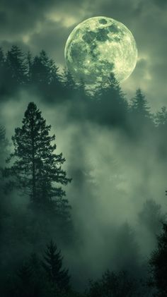 the full moon is shining over some trees in the foggy night sky with low clouds