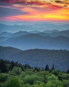 the sun is setting in the mountains with many trees and bushes on each mountain side