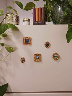 a white refrigerator covered in magnets next to a potted plant