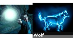 two pictures one with a wolf and the other with a light