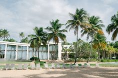 chairs are lined up on the beach in front of a large building with palm trees