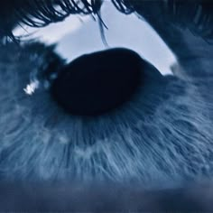 an extreme close up view of the iris of a blue eye looking straight into the camera