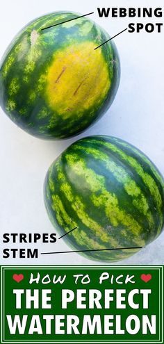 two watermelons with the words, how to pick the perfect watermelon