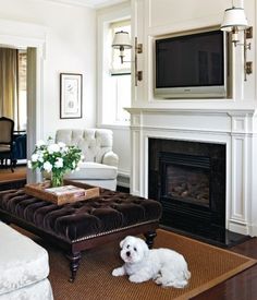 a dog laying on the floor in front of a fireplace with a flat screen tv above it